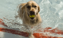 Screen Shot 2013-08-27 at 9.49.05 AM