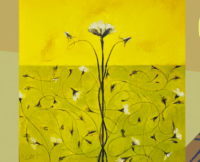 Screen Shot 2013-10-31 at 10.49.52 PM