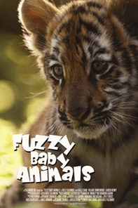 Screen Shot 2013-12-11 at 10.30.14 AM