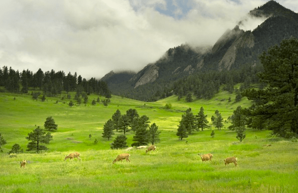 Screen Shot 2014-06-17 at 9.03.29 PM