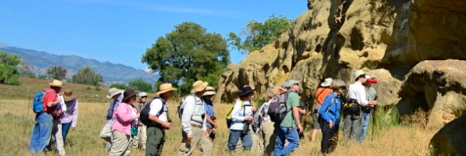 Screen Shot 2014-08-10 at 12.42.30 PM