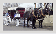 Screen Shot 2014-12-21 at 10.11.16 PM