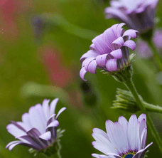 Screen Shot 2015-01-15 at 2.25.38 PM