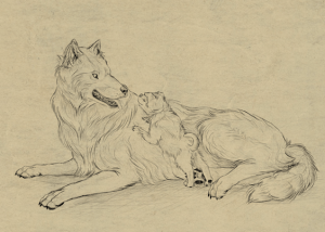 Screen Shot 2015-01-24 at 9.58.24 AM