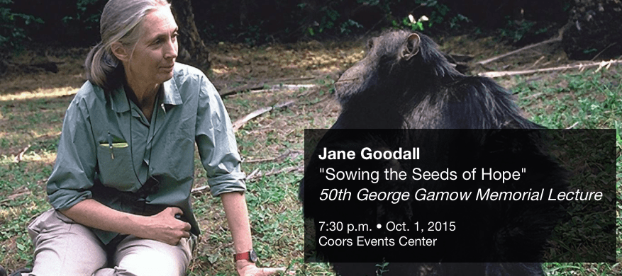 Screen Shot 2015-09-22 at 12.29.36 PM