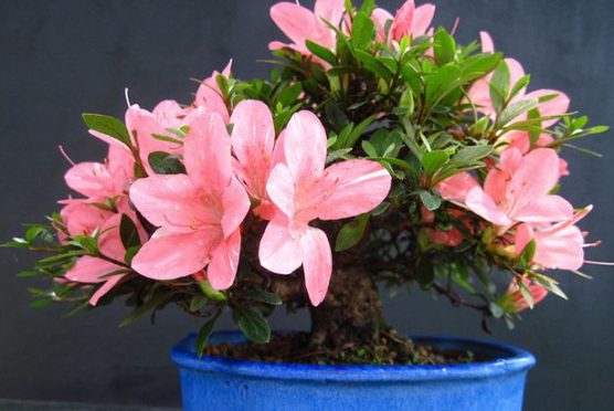 Screen Shot 2016-01-21 at 12.59.19 PM