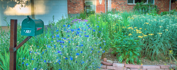 Screen Shot 2016-02-03 at 1.00.31 PM