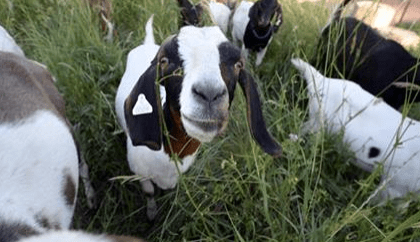 screen-shot-2016-09-16-at-2-28-53-pm