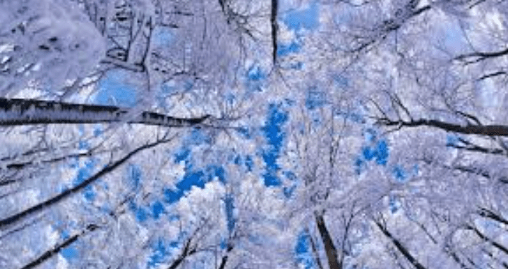 screen-shot-2016-12-25-at-11-00-16-am